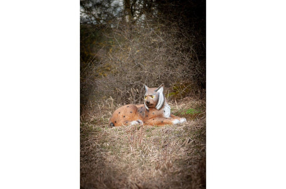 Center-Point Luchs, liegend
