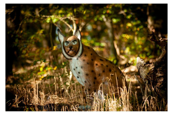 Center-Point Luchs, sitzend