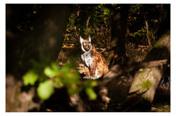 Center-Point Luchs, sitzend