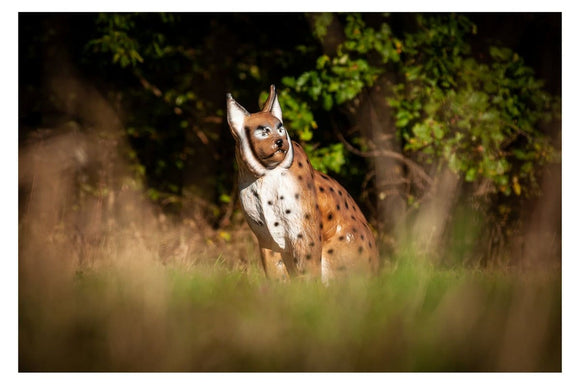 Center-Point Luchs, sitzend