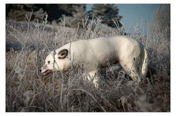 Center-Point Polarwolf