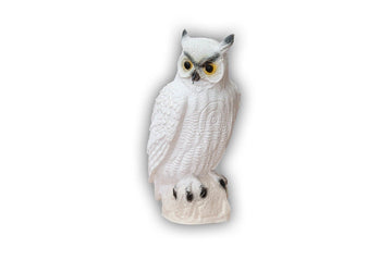 Center-Point Schneeeule