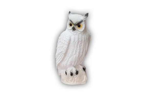 Center-Point Schneeeule