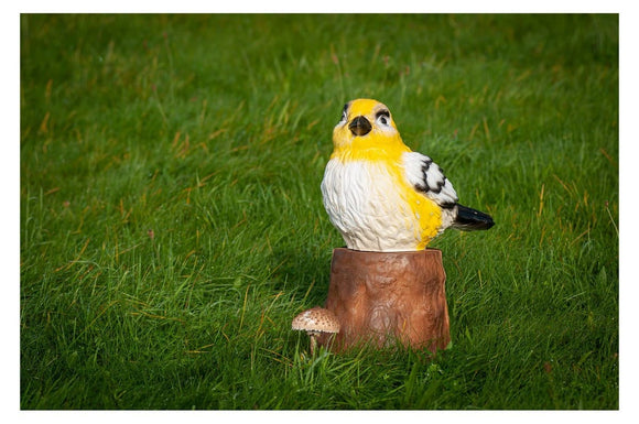 Center-Point Spatz