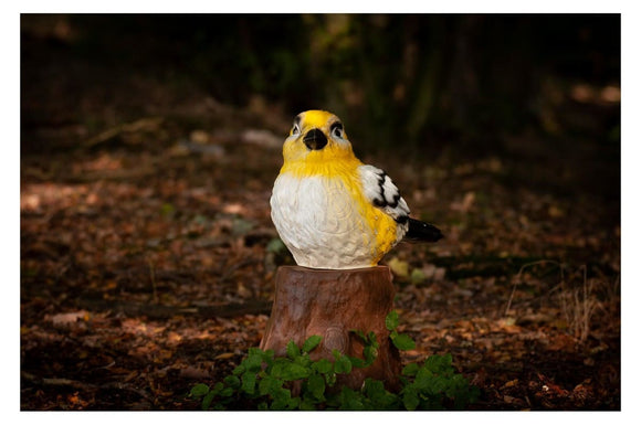 Center-Point Spatz