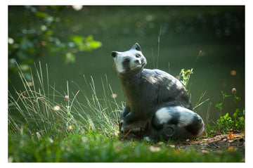 Center-Point Waschbär - 0