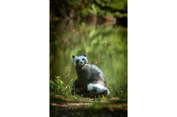 Center-Point Waschbär