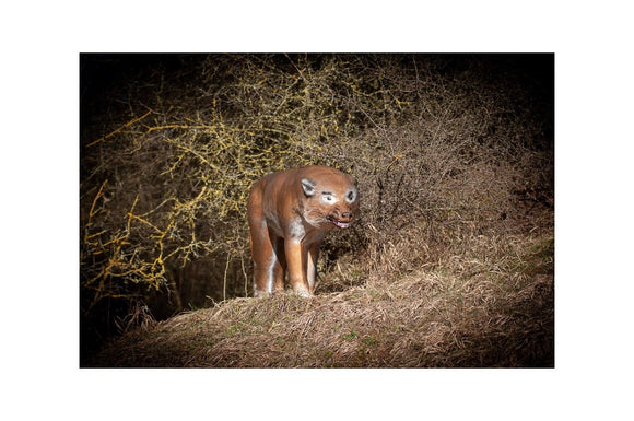 Center-Point Wolf, stehend