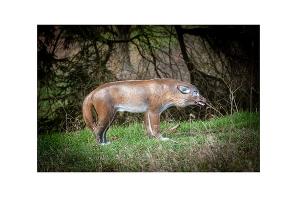 Center-Point Wolf, stehend