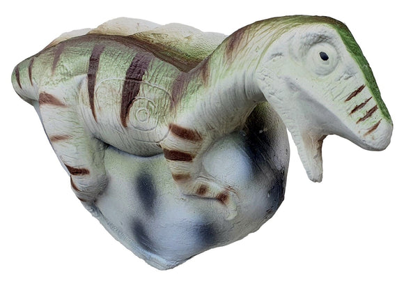 Eleven Baby Dino