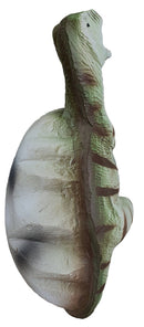 Eleven Baby Dino-4