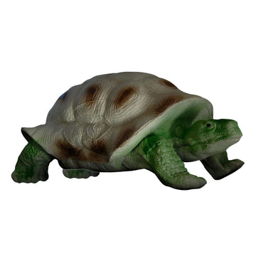 Eleven Schildkröte