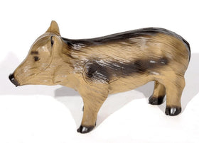 Franzbogen Frischling stehend