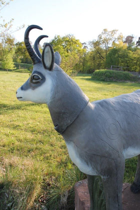 Franzbogen Gamsbock - 0