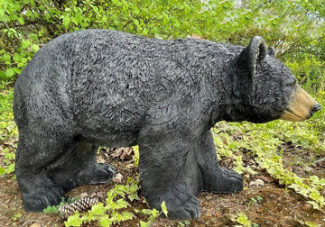 Franzbogen Honigbär  laufend - 0