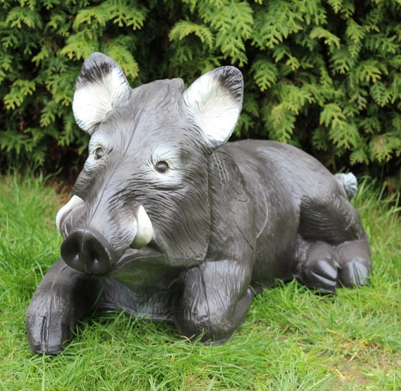 Franzbogen Eber, liegend