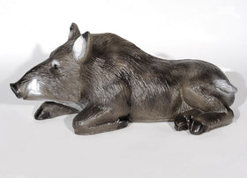 Franzbogen Eber, liegend