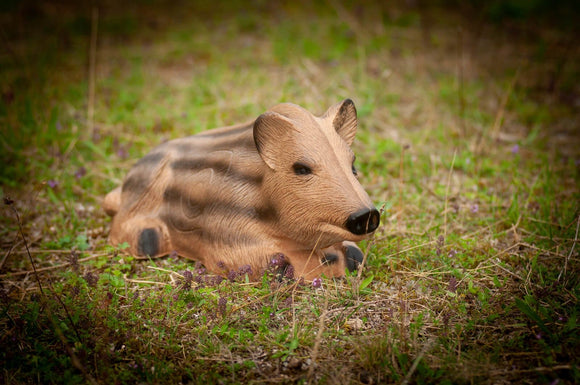 Center-Point Frischling, liegend
