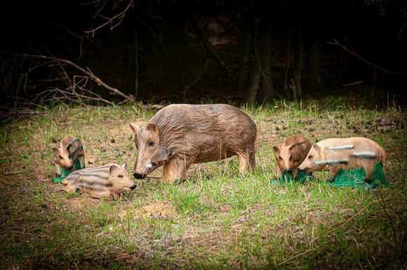 Center-Point Frischling, liegend