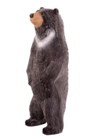 IBB kleiner Kragenbär-2