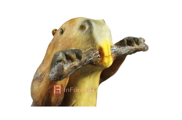 InForm3D Biber, fressend