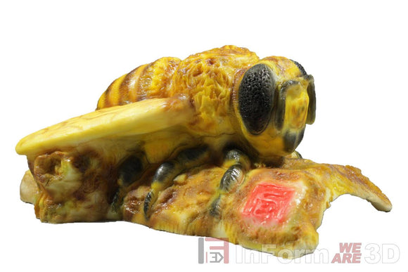 InForm3D Biene