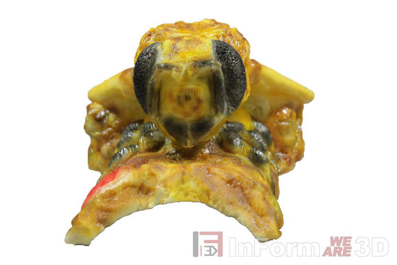 InForm3D Biene
