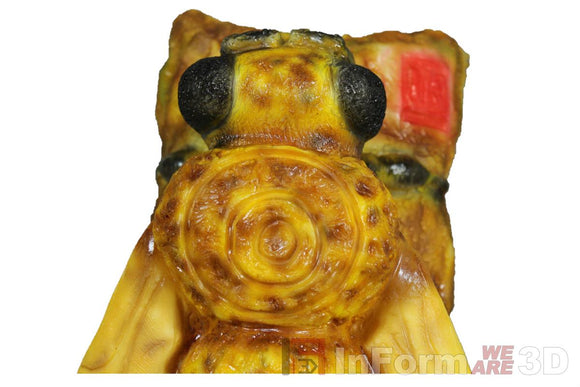 InForm3D Biene