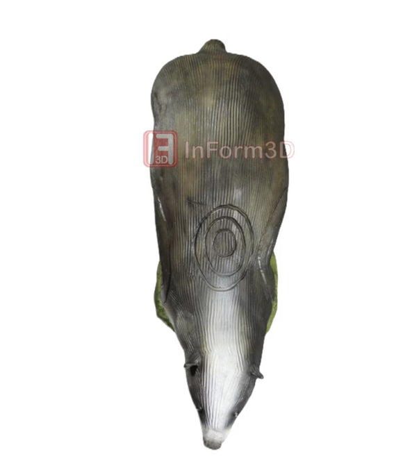 InForm3D Dachs mit Maiskolben