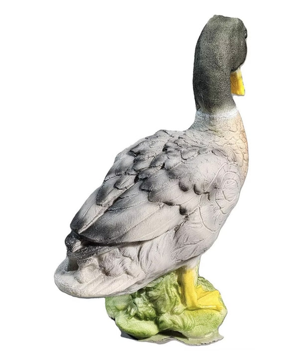 InForm3D Erpel / Ente, stehend