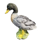 InForm3D Erpel / Ente, stehend-1