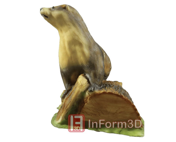 InForm3D Fischotter am Baum