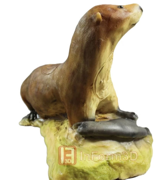 InForm3D Fischotter mit Fisch