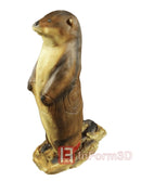 InForm3D Fischotter, stehend-2