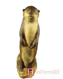 InForm3D Fischotter, stehend-4