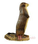 InForm3D Fischotter, stehend-6