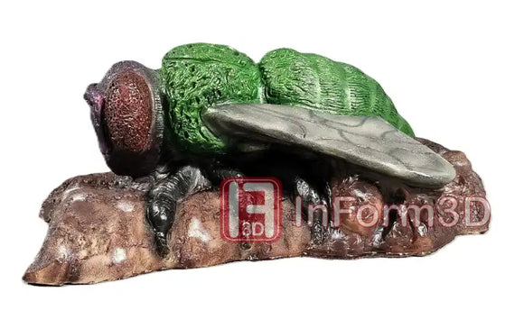 InForm3D Fliege