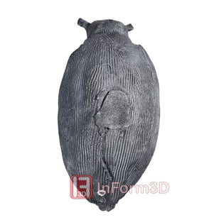 InForm3D Flughund - 0