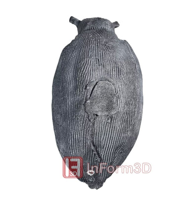 InForm3D Flughund - 0