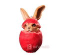InForm3D Hase im Ei-7