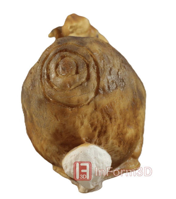 InForm3D Hase, sitzend