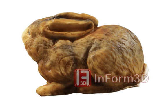 InForm3D Hase, sitzend