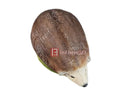 InForm3D egel, staand-4