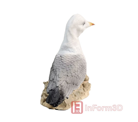 InForm3D Meeuw, zittend