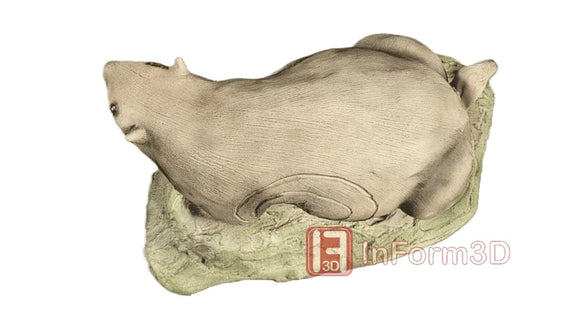 InForm3D Murmeltier, liegend