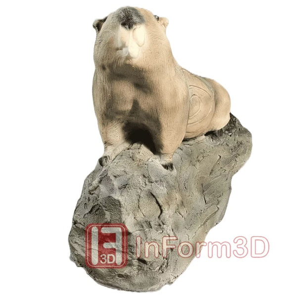 InForm3D Murmeltier, spähend