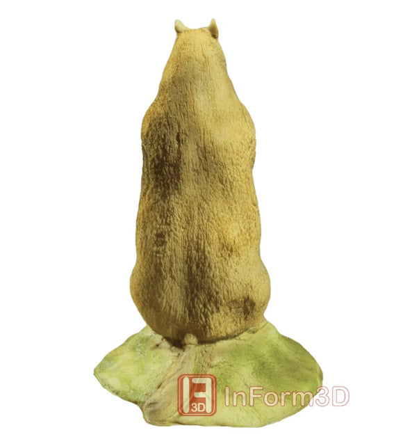 InForm3D Murmeltier, stehend