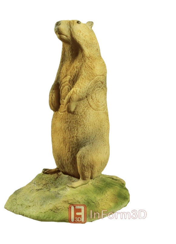 InForm3D Murmeltier, stehend