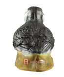 InForm3D Papagaitaucher-4