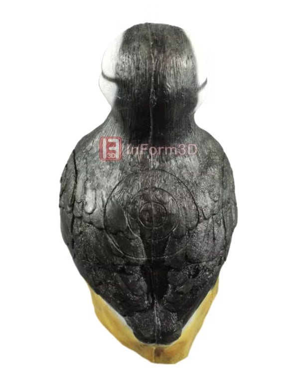 InForm3D Papagaitaucher